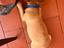 Immagine 5