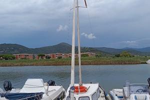 Motorsailer Falco 50