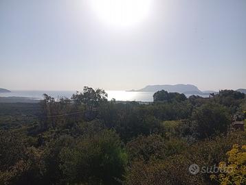 Sardegna Last minute Giugno