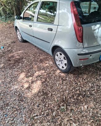 fiat punto