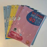 Ricambi fogli per raccoglitore ad anelli