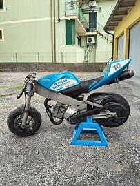 Minimoto Polini 910 trofeo