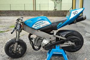 Minimoto Polini 910 trofeo