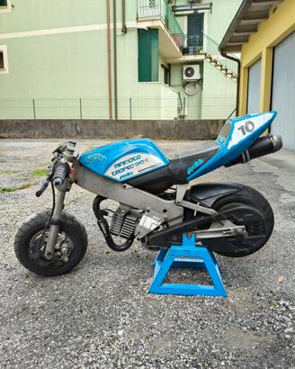 Minimoto Polini 910 trofeo