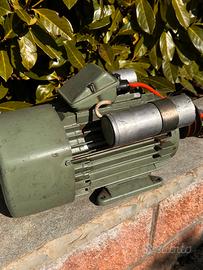 Motore elettrico perfettamente funzionante