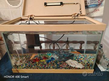Acquario con mangiatoia, filtro e ventilatore