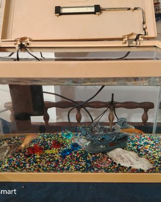 Acquario con mangiatoia, filtro e ventilatore