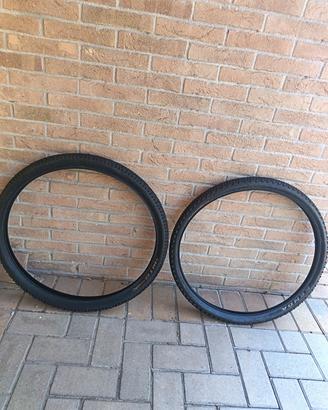 2 copertoni 29 mtb