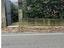Immagine 12