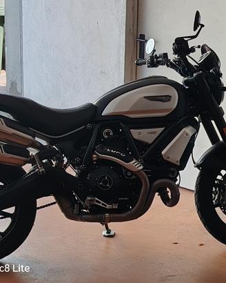 Ducati scrambler 1100 dark pro 2021 