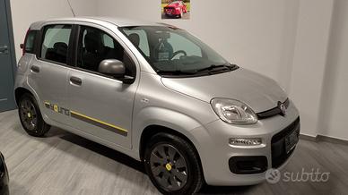 Fiat Panda 1.2 Young
