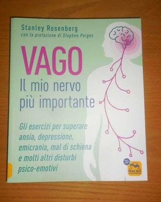 Nervo VAGO + Muscolo PSOAS (nuovi)