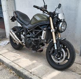 Suzuki bicilindrica 