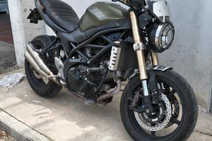 Suzuki bicilindrica 