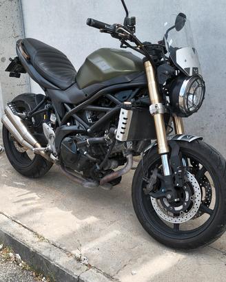 Suzuki bicilindrica 