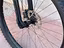 Immagine 12