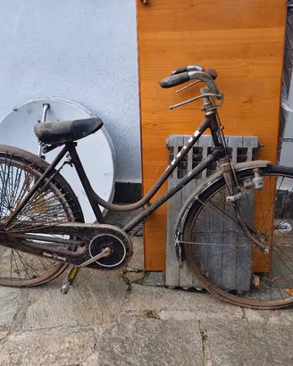 bicicletta 