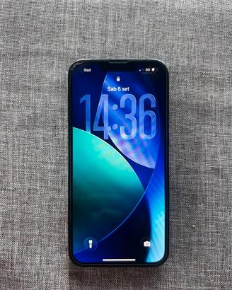 iPhone 13 pro
