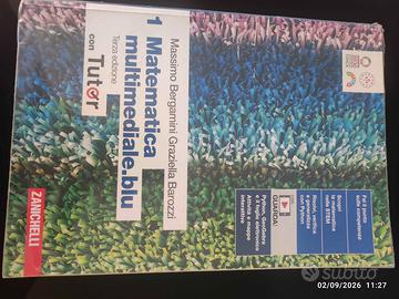 Matematica Multimediale.blu 1