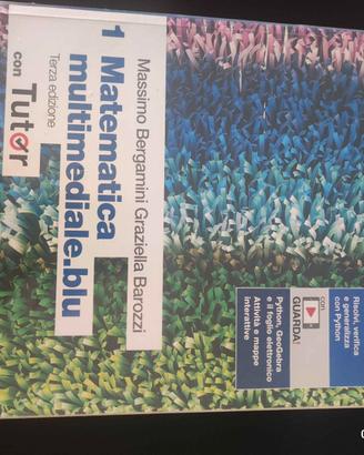 Matematica Multimediale.blu 1