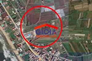 Terreno di 16272 m² a Mondragone
