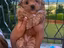 Immagine 6