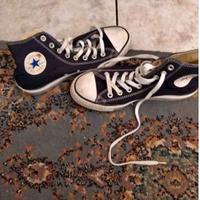 scarpe converse donna ragazza nuove 