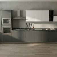 CUCINA LINEARE MODERNA CON  ELETTRODOMESTICI