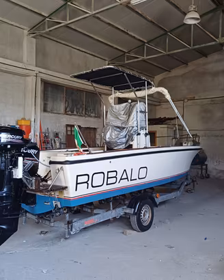 barca da pesca open