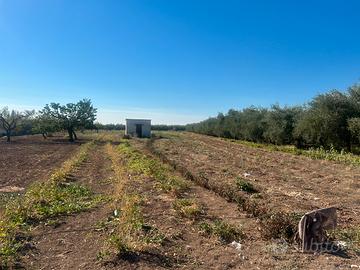 Terreno via Vecchia Canosa