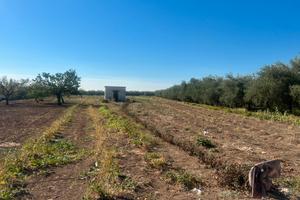 Terreno via Vecchia Canosa