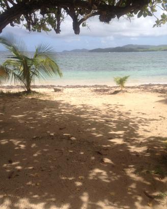 Macchina da cucire d’epoca