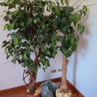 N. 2 Piante Finte Da Interno 120Cm Ficus Artificia