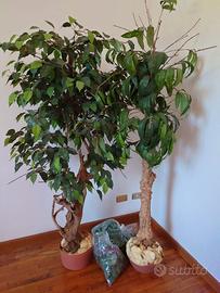 N. 2 Piante Finte Da Interno 120Cm Ficus Artificia