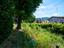 Immagine 28