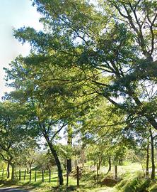 Casaletto di campagna