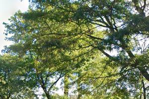 Casaletto di campagna