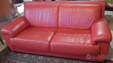 divano VERA PELLE marca Nicoletti