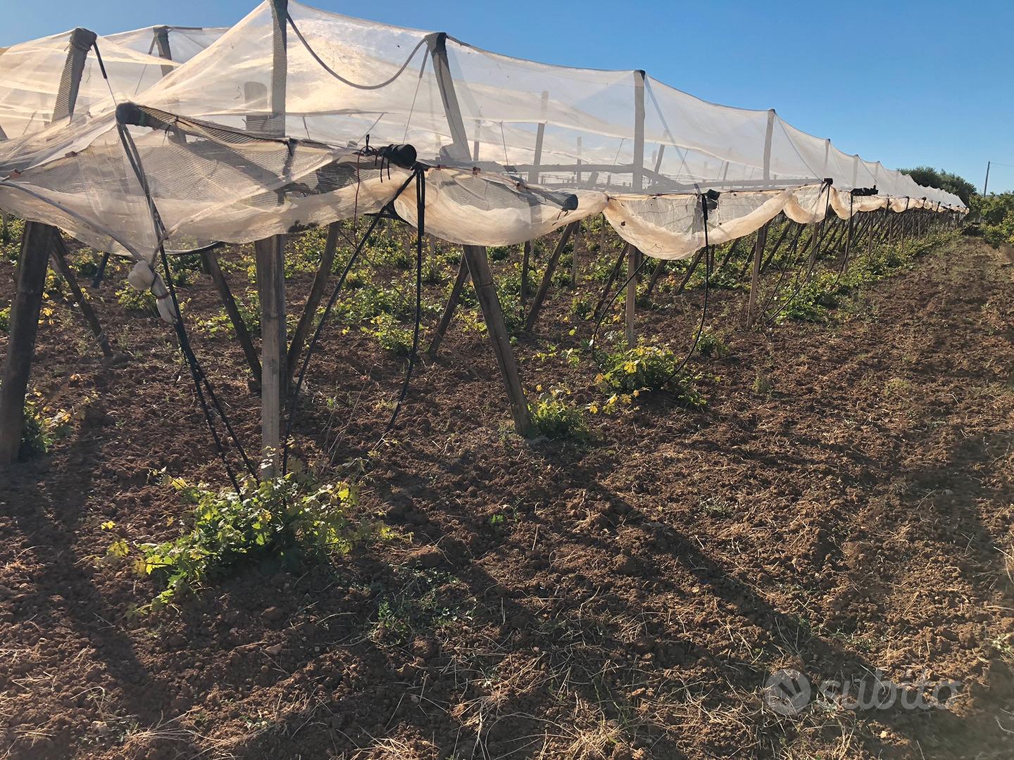 Terreno con Fabbricato Indipendente - Vista 4