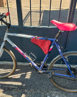 Mountain bike
