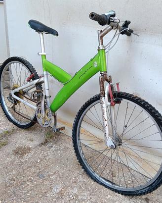 Biciclette PininFarina, e Bianchi vintage