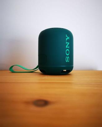 Cassa Sony