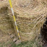 Fieno di erba medica - terzo taglio