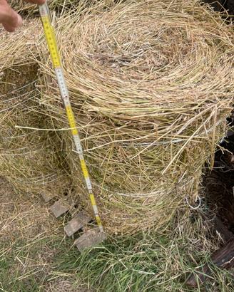 Fieno di erba medica - terzo taglio