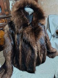 pelliccia bicolore murmasky