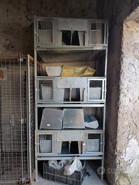 fattrici per conigli a 2 cuccie