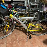 Bici Lombardo GL 250 – Telaio ammortizzato