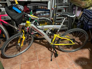 Bici Lombardo GL 250 – Telaio ammortizzato