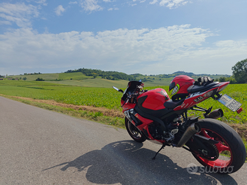 Gsxr-r 1000 yoshimura