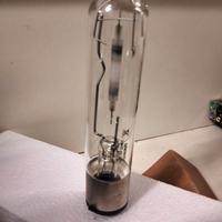 lampadina philips master sdw-t